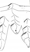 շˮʦլˮֱȥĻ